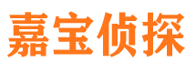 邗江市调查公司